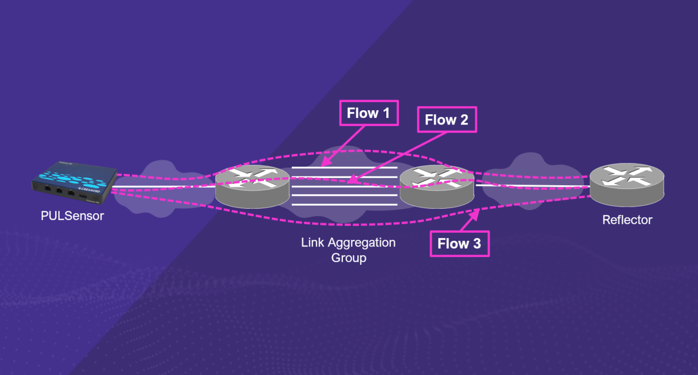 Increased Visibility with Link Aggregation and Equal Cost Multi-Path Monitoring