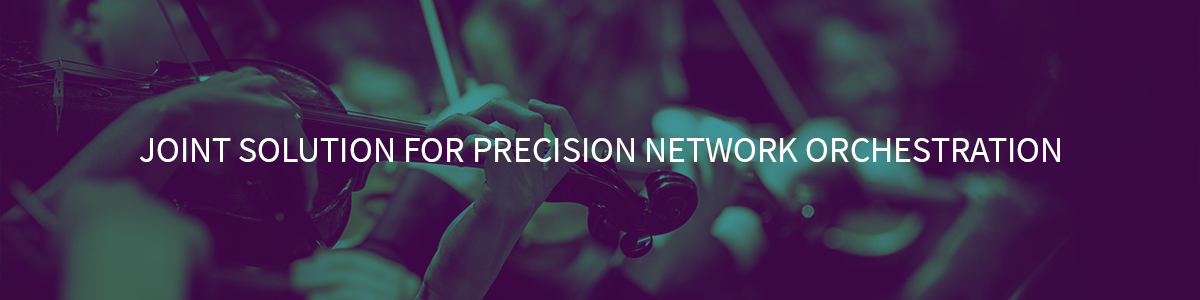 Precision Network Orchestration